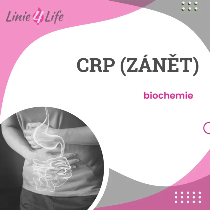 Ilustrace zánětu a CRP s obrysem trávicího systému, zvýrazňující vztah mezi biochemií a zánětlivými procesy.