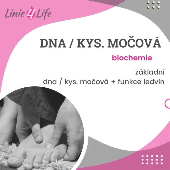 Biochemie: DNA, kyselina močová a funkce ledvin. Linie4Life vzdělávání a zdraví, péče o nohy.