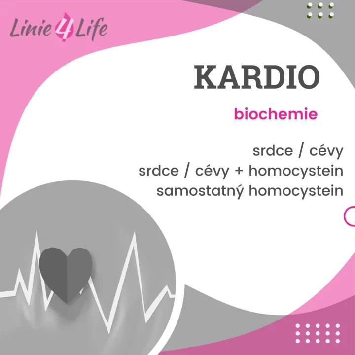 Obrázek zobrazující téma kardio biochemie se zaměřením na srdce, cévy a homocystein, Linie4Life design.