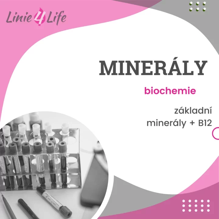 Plakát Linie4Life představující analýzu minerálů a vitamínu B12 s laboratorními zkumavkami v pozadí.