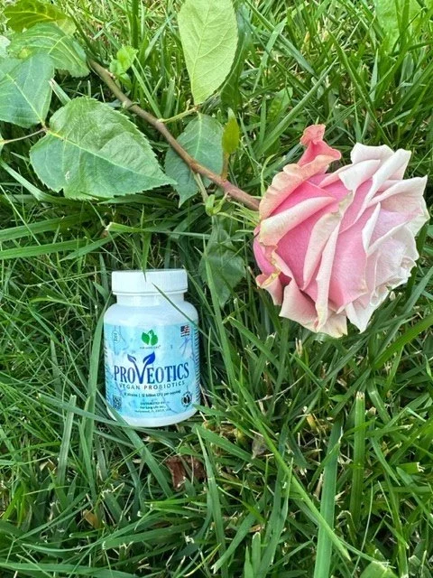 Balení veganských probiotik Proveotics mezi růžovým květem a zelenou trávou, symbol zdraví a přírody.