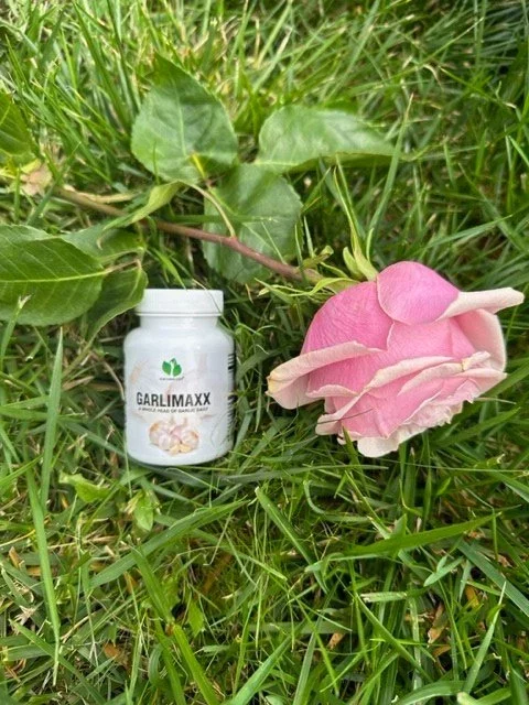 Láhev doplňku stravy Garlimaxx s česnekem a růžový květ leží na svěží zelené trávě venkovního prostředí.