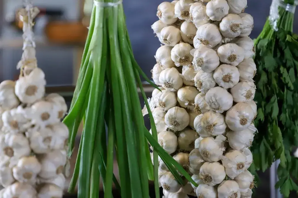 podpora-imunity-prirozene