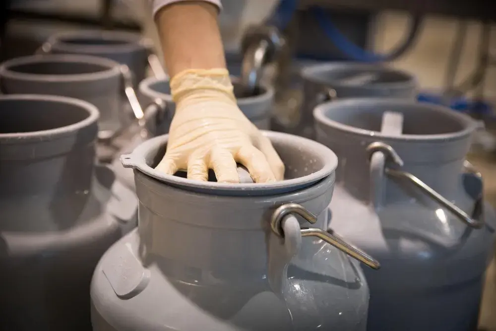 mléčné výrobky a zdraví